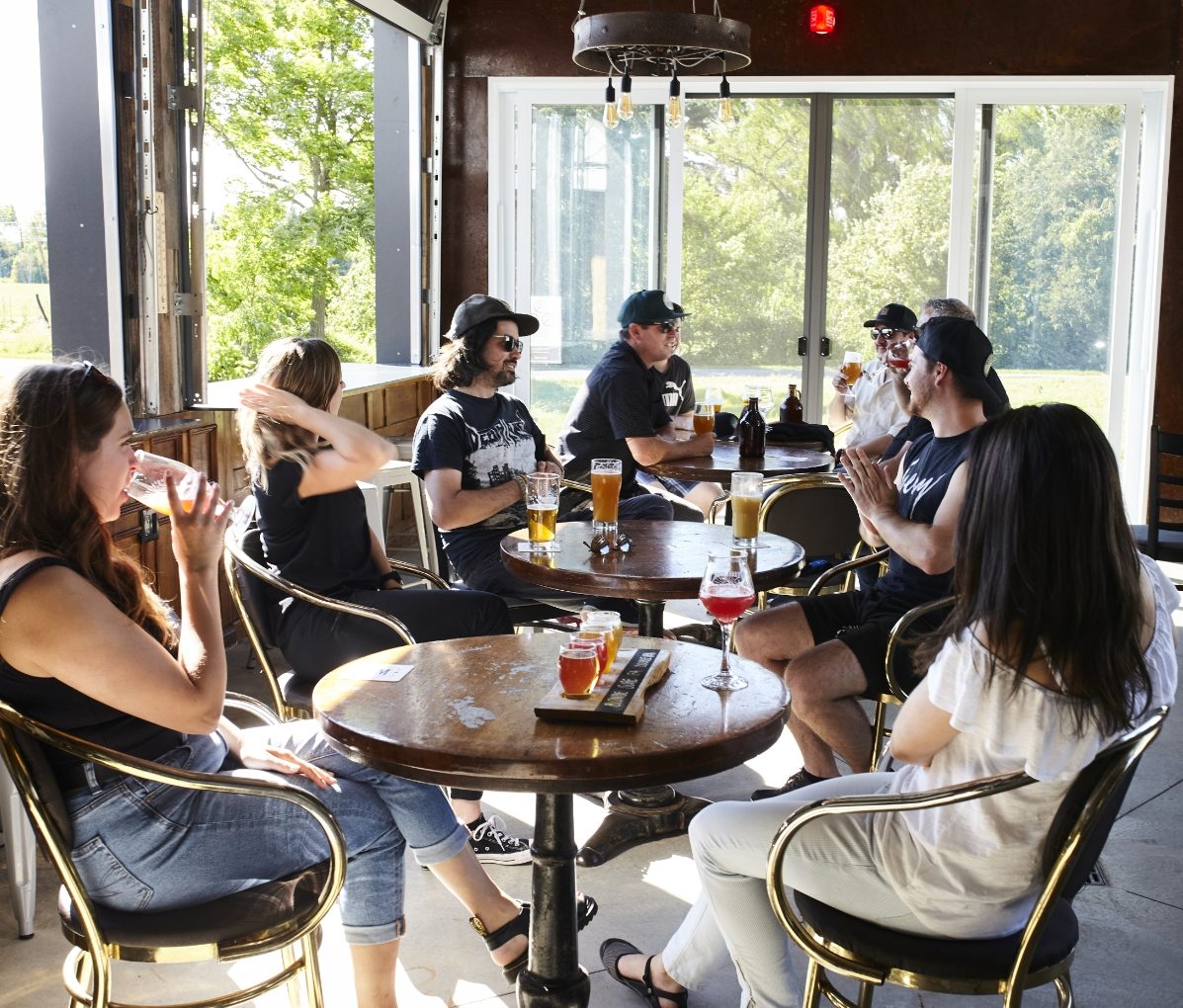 Terre à boire - Dégustation de bière