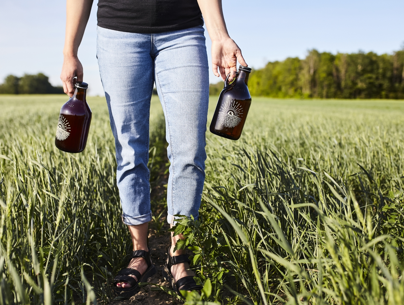 Terre à boire - Bière et orge biologique