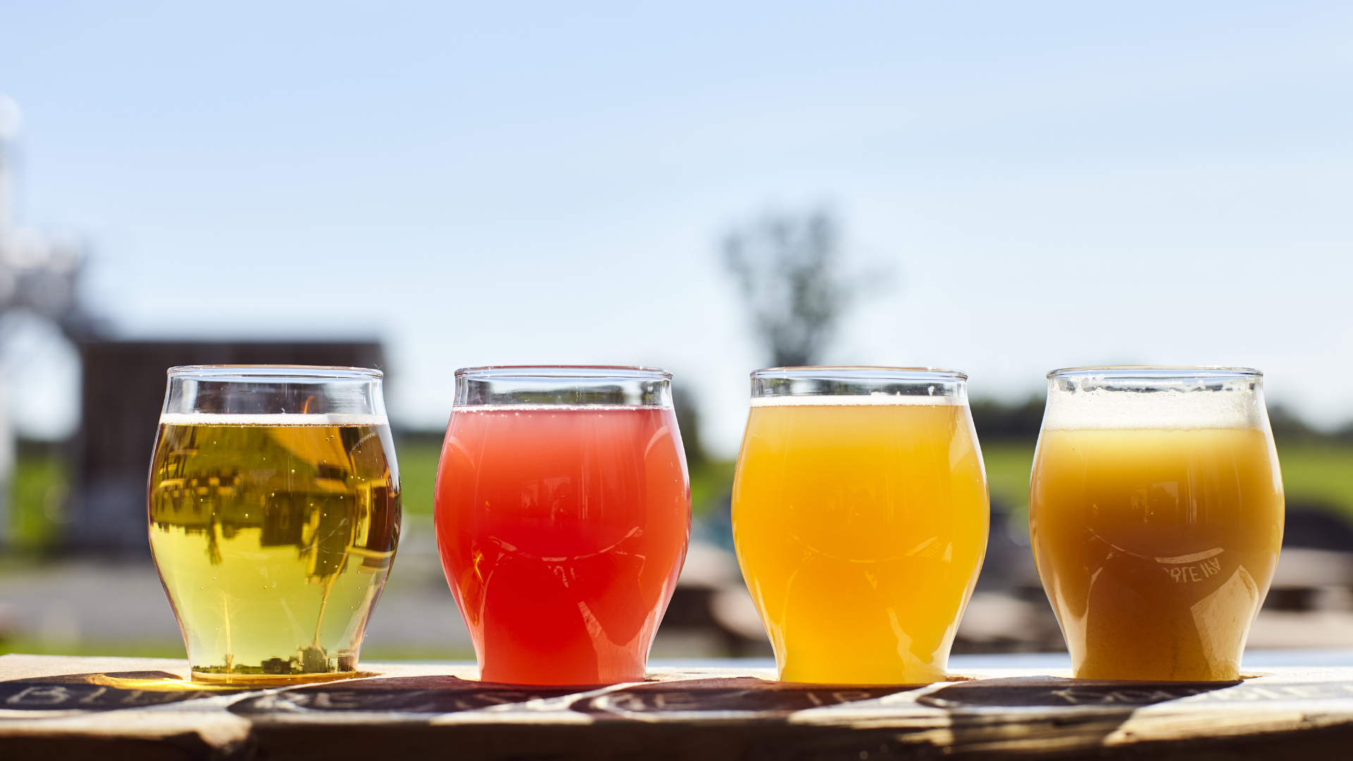 Terre à boire - Nos bières